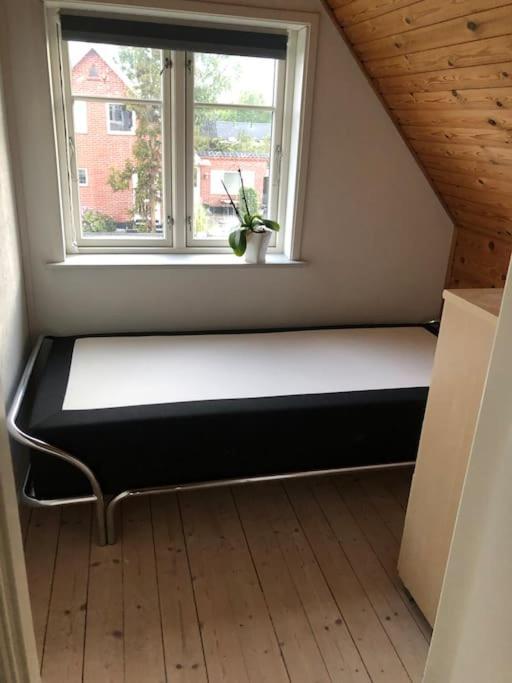 Hyggeligt Byhus Taet Ved Skov Og Togstation Ålbæk エクステリア 写真