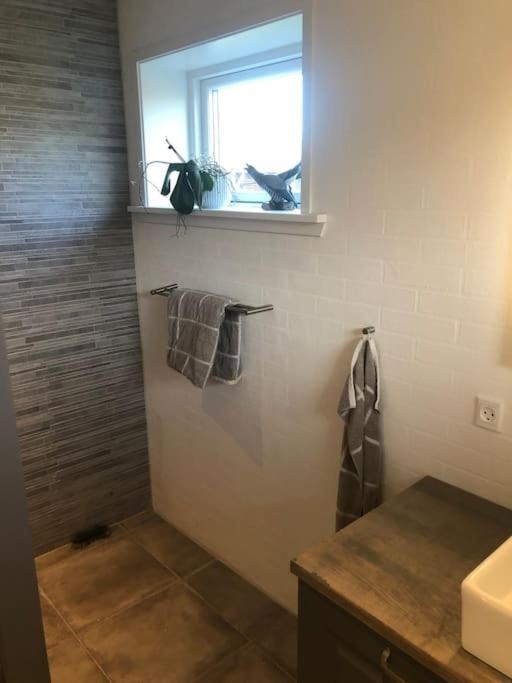 Hyggeligt Byhus Taet Ved Skov Og Togstation Ålbæk エクステリア 写真